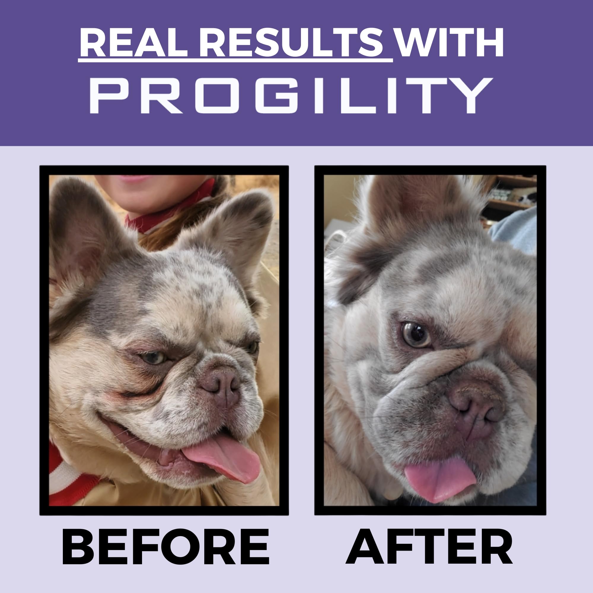 Nootie Progility: sabor tocino y queso, sabroso para perros.