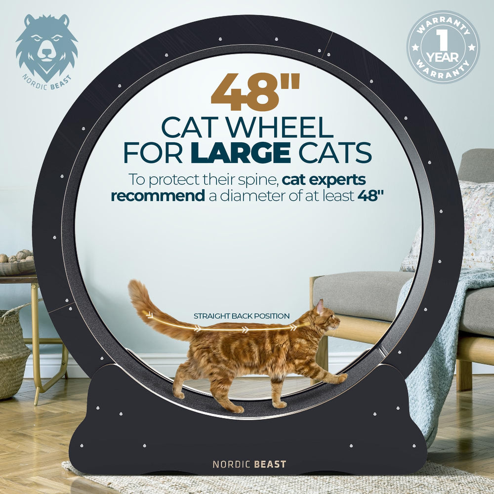 Superficie de carrera de 15,7 pulgadas en Nordic Beast, estabilidad para dos felinos.