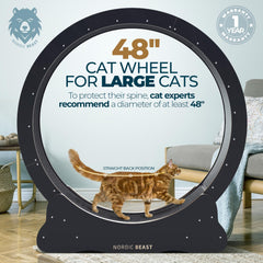 Superficie de carrera de 15,7 pulgadas en Nordic Beast, estabilidad para dos felinos.