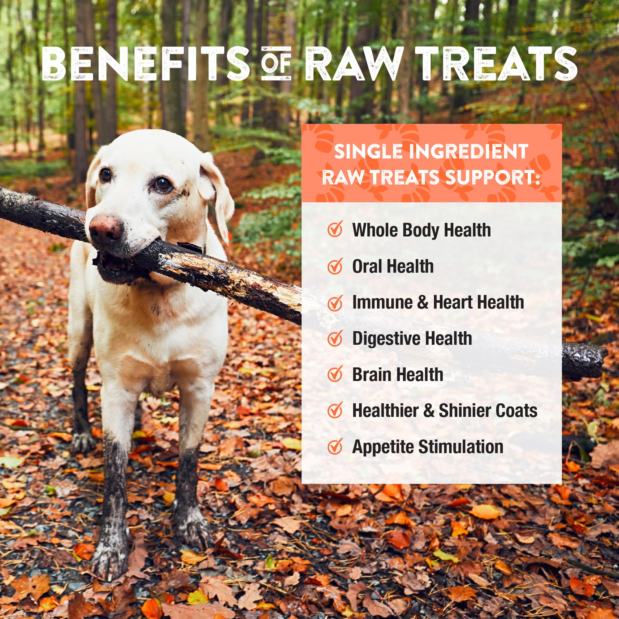 A los gatos les encanta Northwest Naturals, recompensa ideal para entrenamiento.