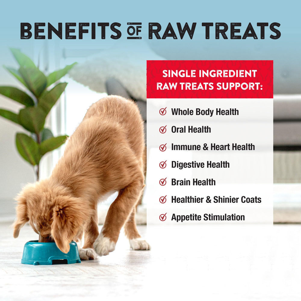 Perro disfrutando el premio Northwest Naturals, paladar satisfecho