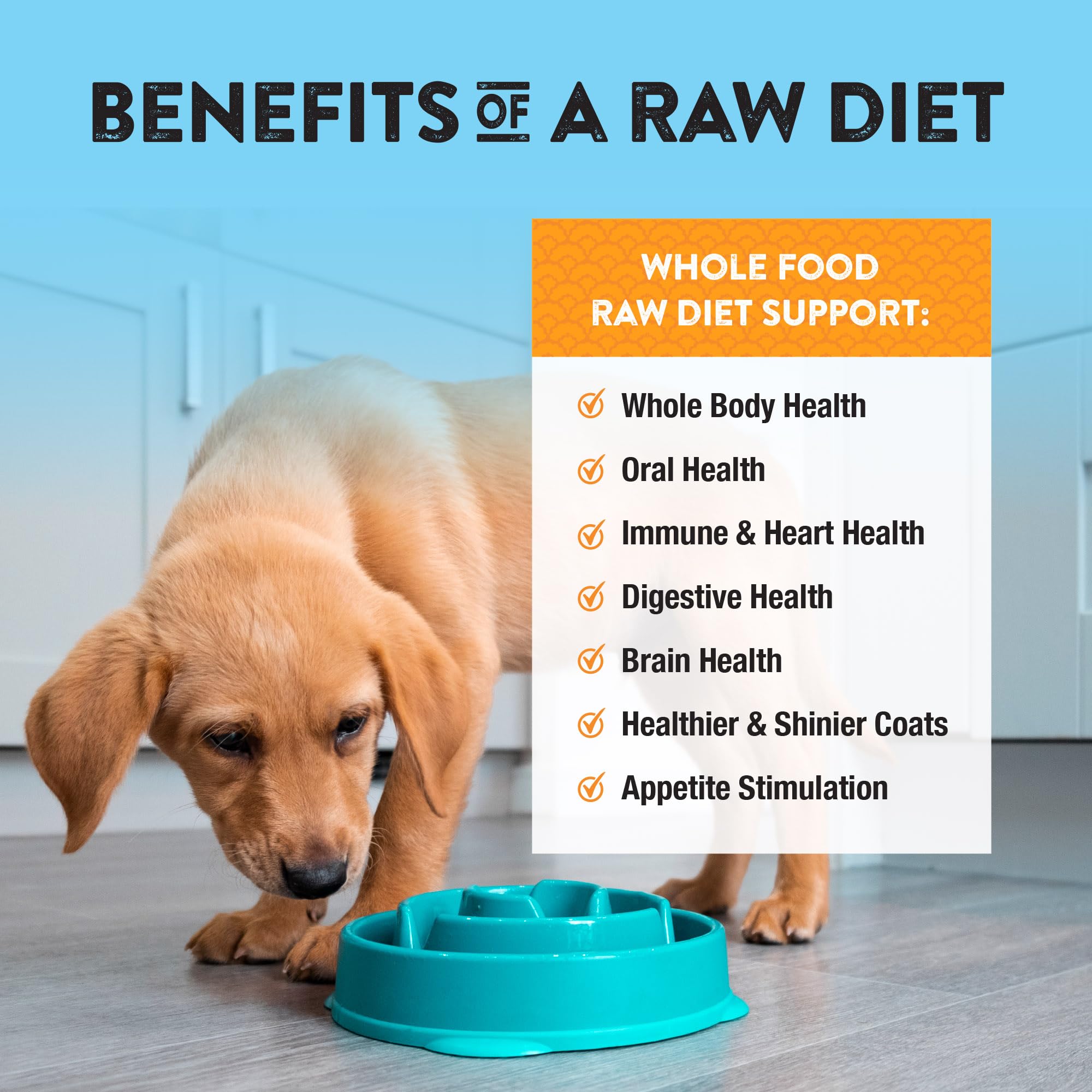 Proteína alta de pavo en Northwest Naturals, soporte nutricional para perros activos