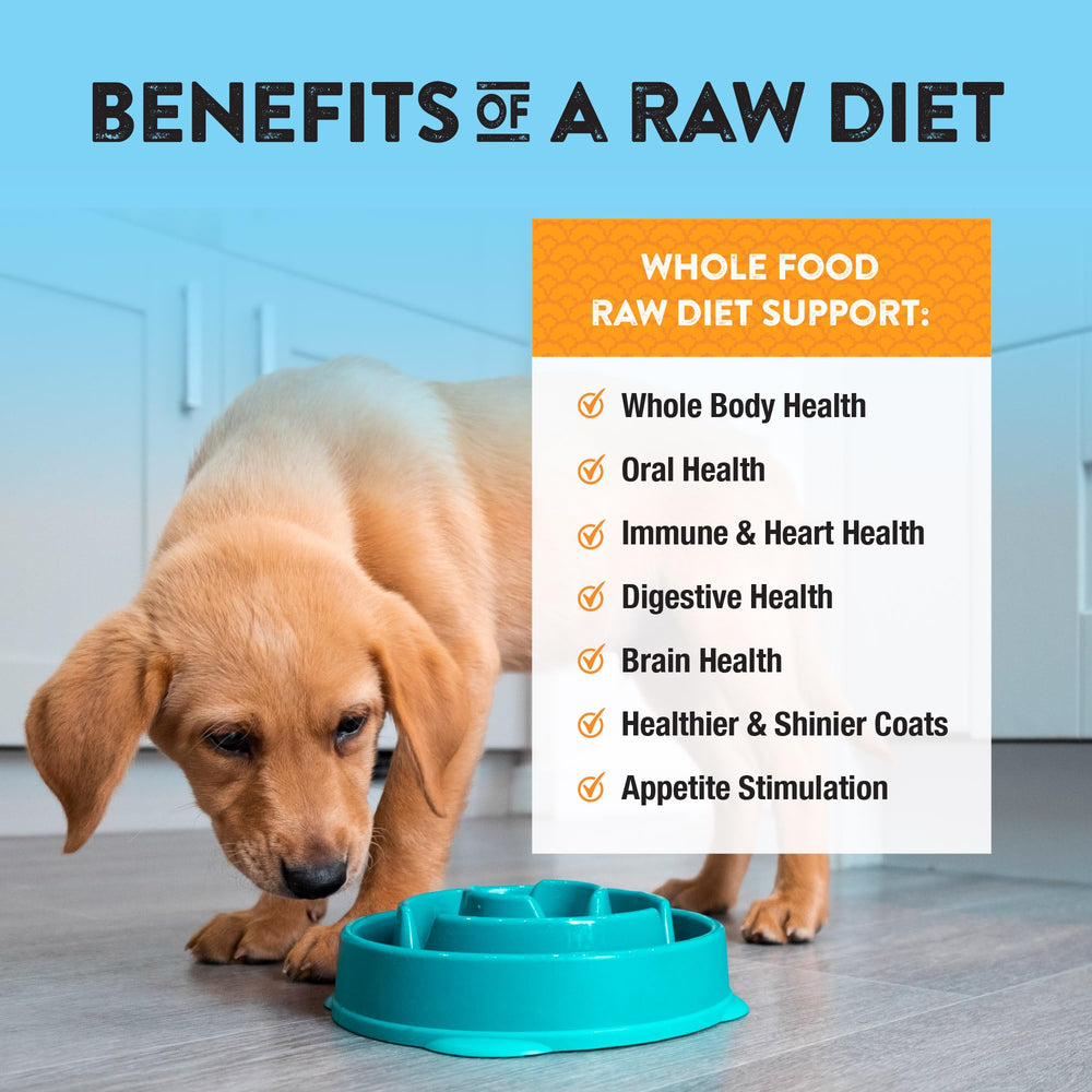 Proteína alta de pavo en Northwest Naturals, soporte nutricional para perros activos