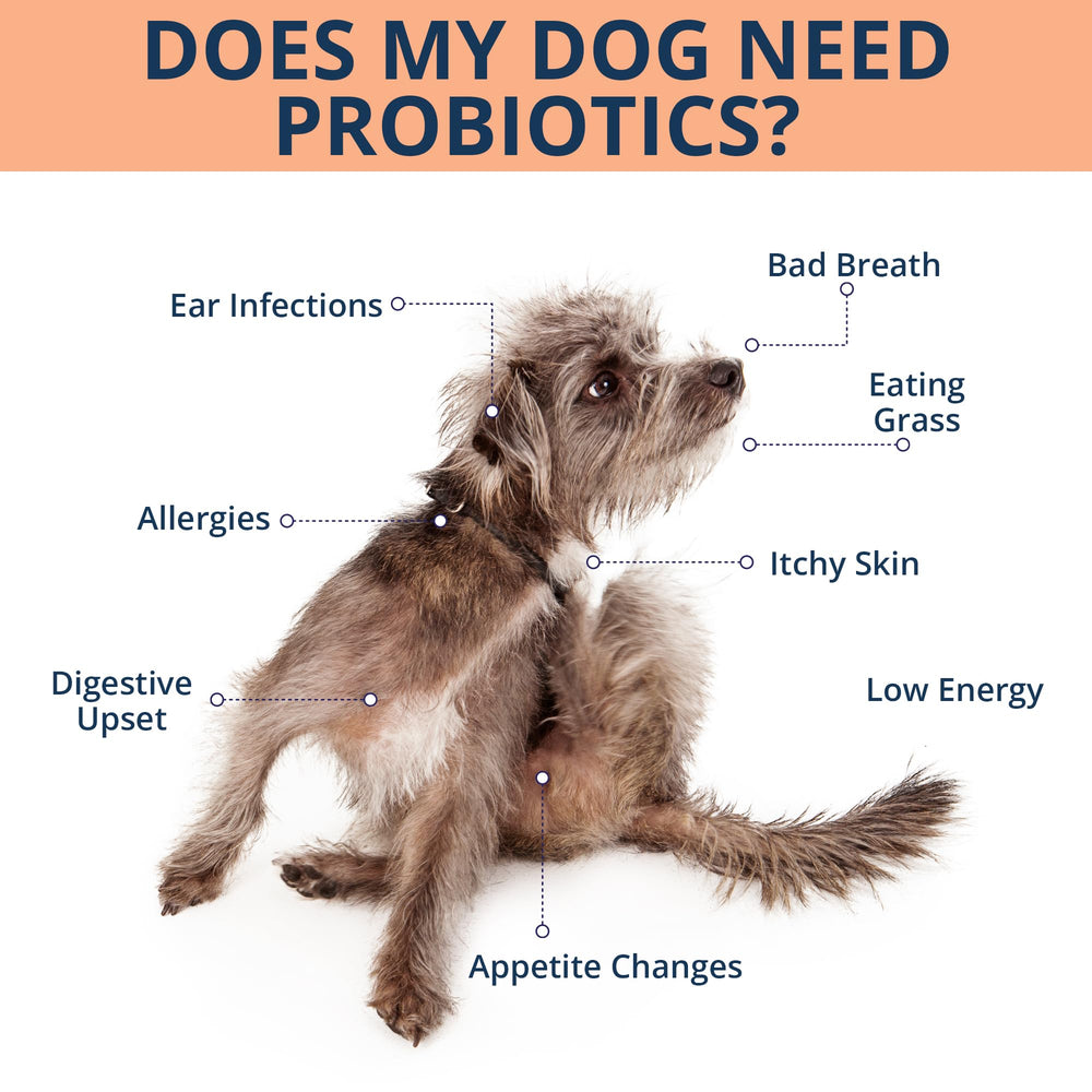 NOVEHA gomitas probióticas para perros, etiqueta frontal, alivian irritaciones leves de la piel.