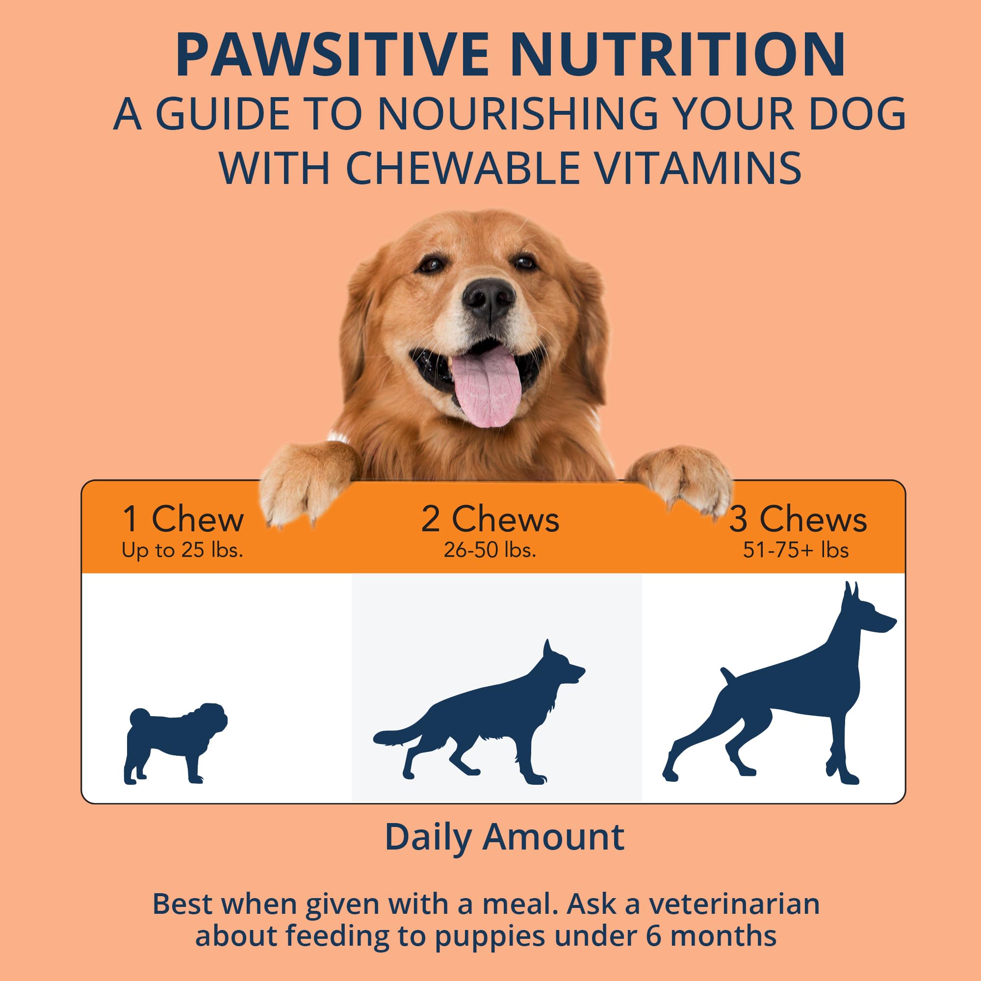 NOVEHA gomitas probióticas para perros, detalle de la mezcla de fibras, mejora digestiva.