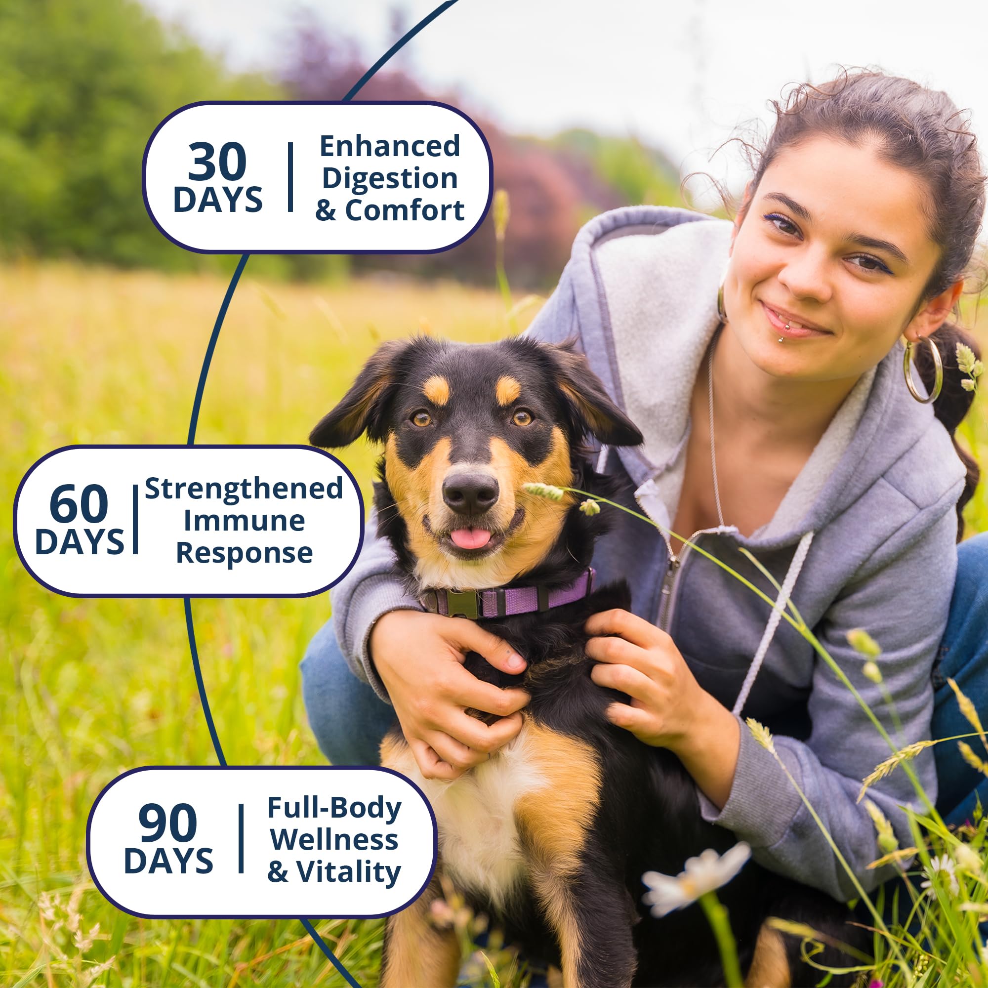 NOVEHA Sabor a calabaza que encanta a perros