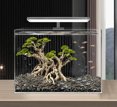 Novelsite rocas arenisca para acuario, textura natural que complementa el ecosistema.