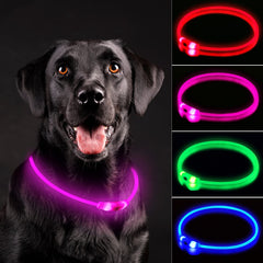 NOVKIN collar LED para perros con luz nocturna para paseos visibles