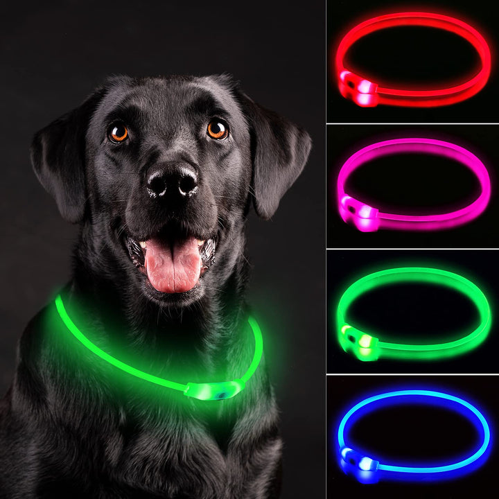 Novkin collar LED para perros con visibilidad nocturna para caminatas seguras.