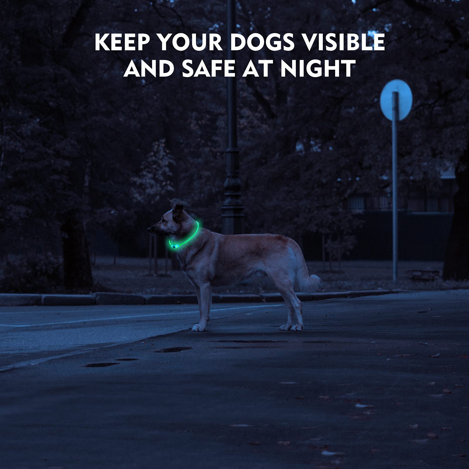 Novkin collar LED con tres modos brillantes para diferentes entornos.