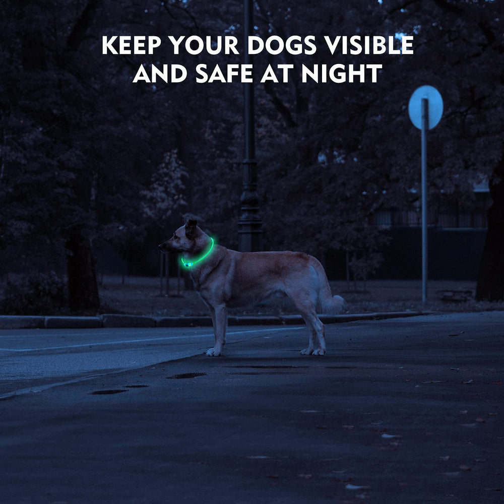 Novkin collar LED con tres modos brillantes para diferentes entornos.