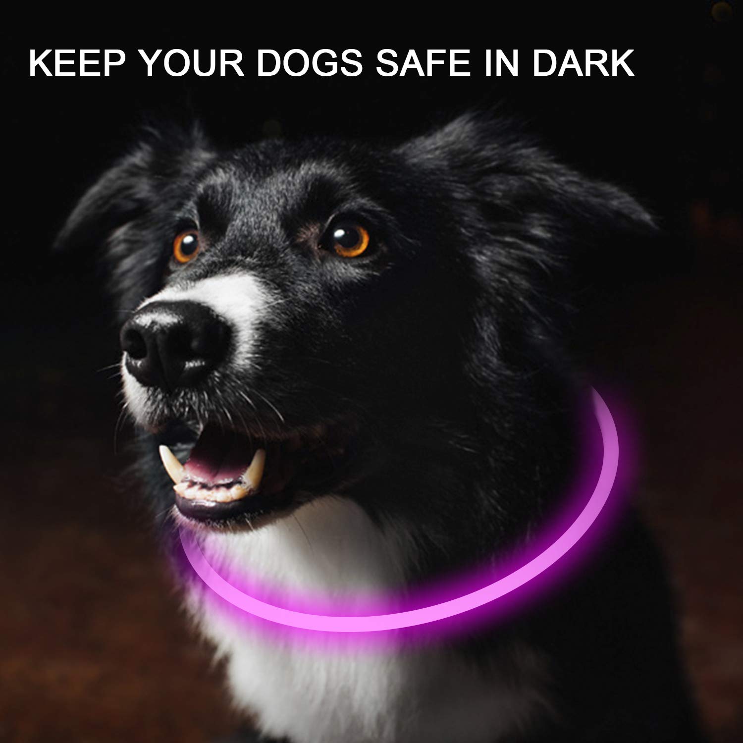 Novkin collar con iluminación para perros en rojo y rosa para reconocimiento.