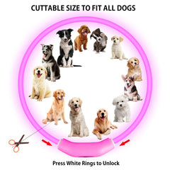 Novkin collar para perros, batería recargable para caminatas nocturnas sin interrupciones.