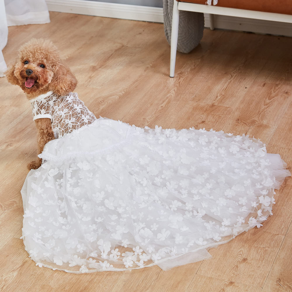 NOWDER encaje floral en vestido de perro, perfecto para sesiones