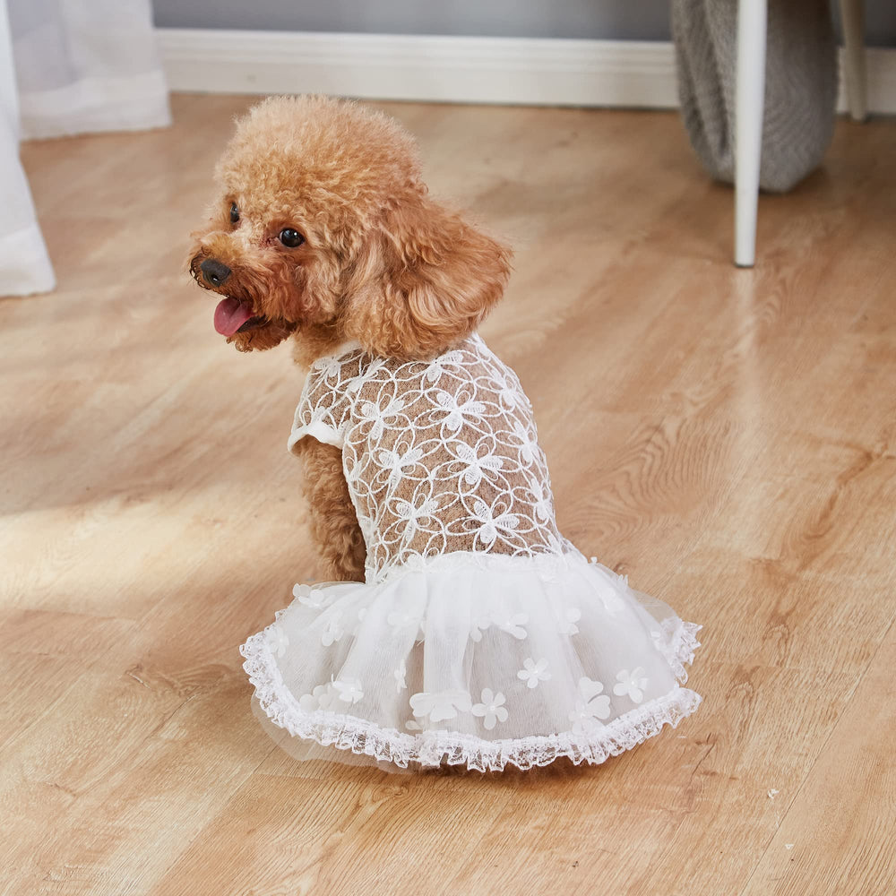 NOWDER look blanco para fiestas, ideal para fotos al aire libre