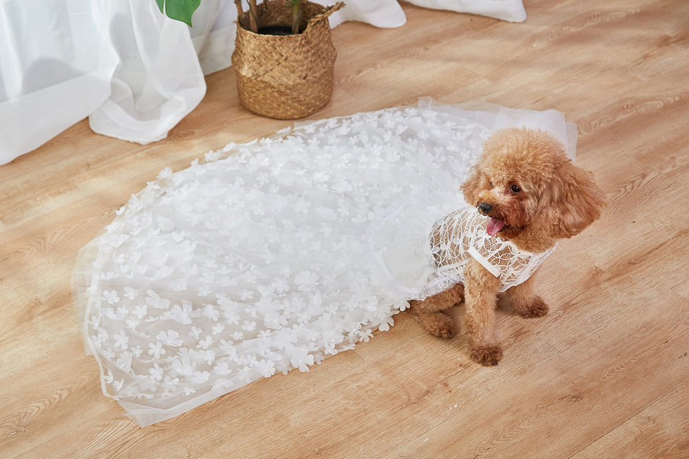 NOWDER vestido princesa para perros, tallas XS-XL, cómodo y seguro