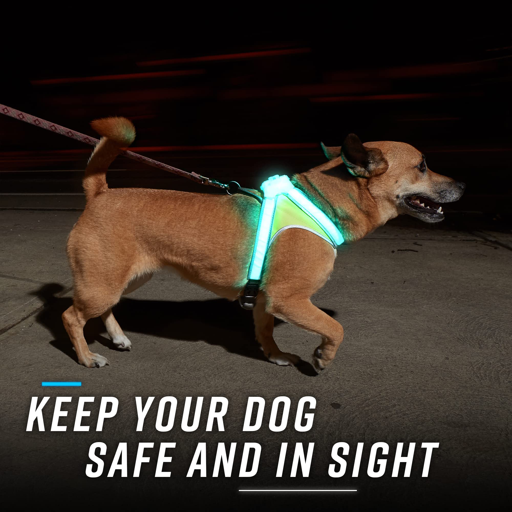 Noxgear LightHound talla ajustable para un ajuste cómodo