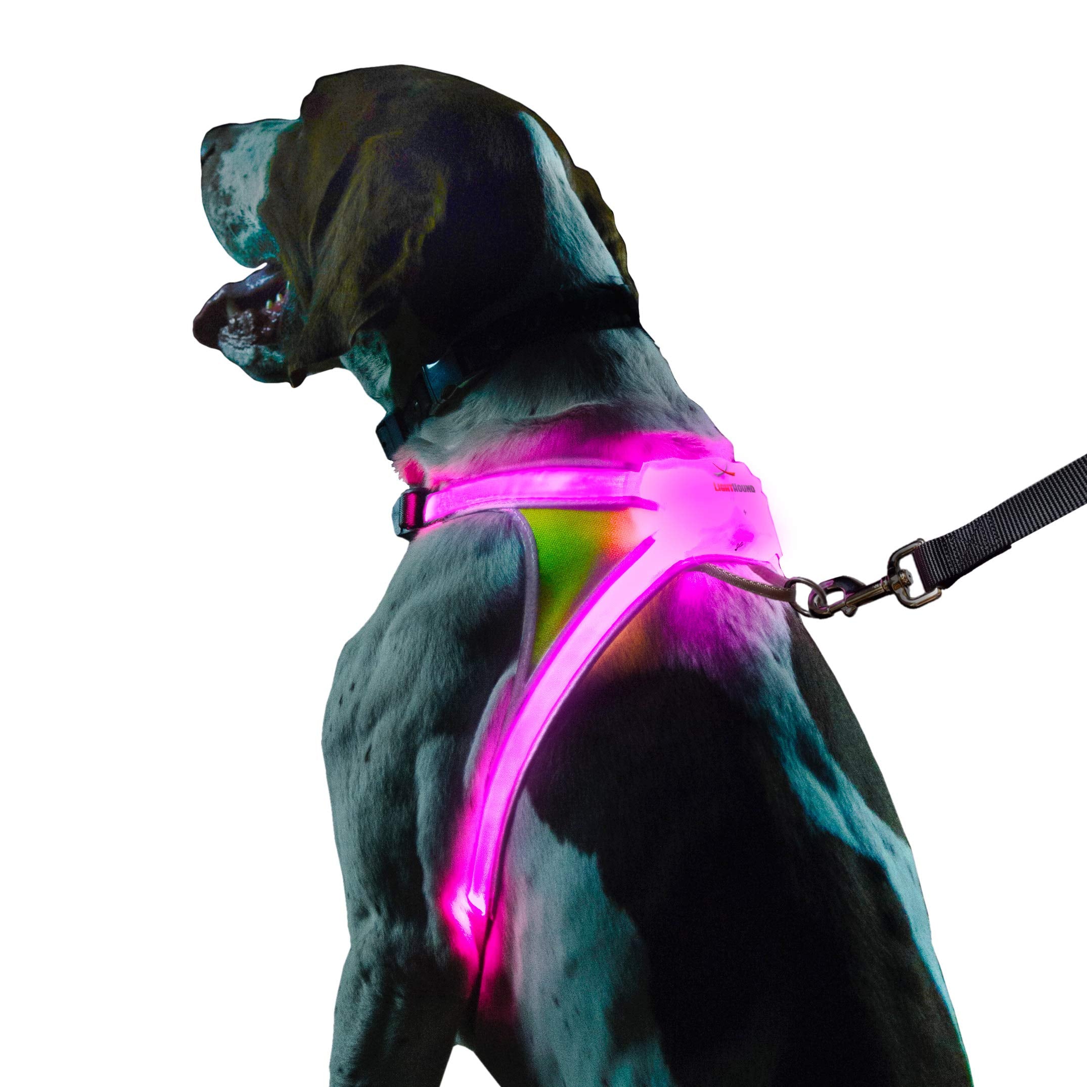 Noxgear LightHound arnés iluminado con fibra óptica para mayor visibilidad nocturna