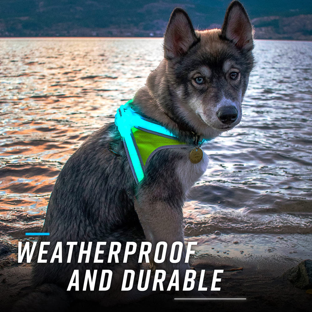 Noxgear LightHound: batería de larga duración para salidas prolongadas