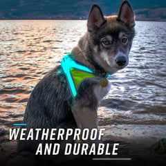 Noxgear LightHound: batería de larga duración para salidas prolongadas