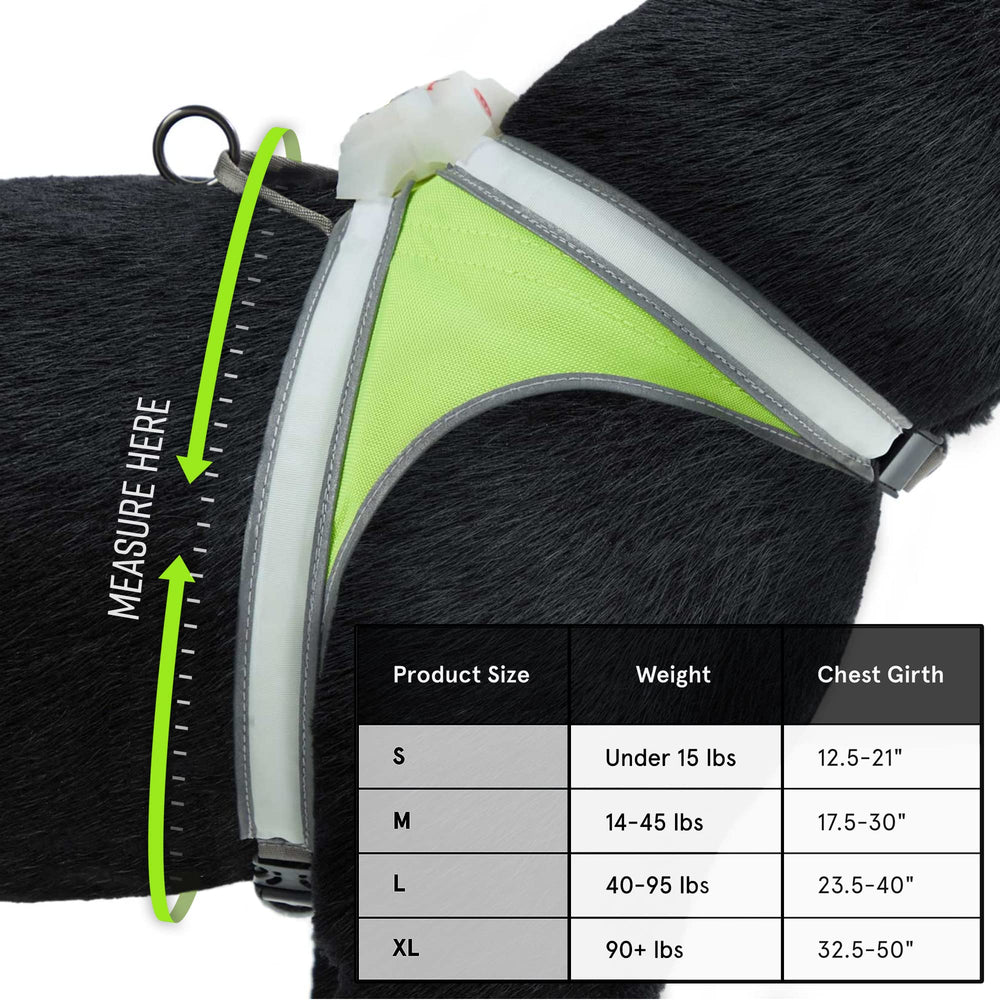 Noxgear LightHound batería recargable con hasta 12 horas de luz