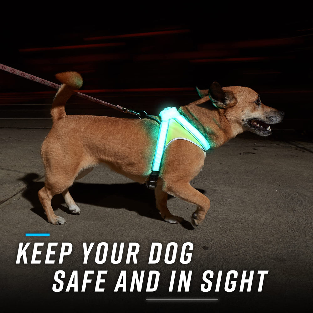 LightHound iluminación 360 grados para detección desde cualquier ángulo
