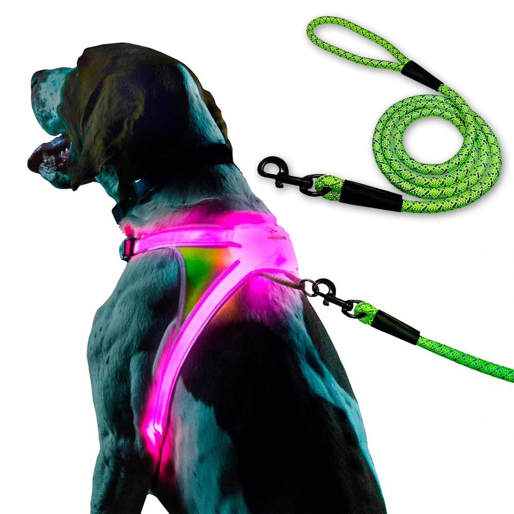 Noxgear LightHound con iluminación LED para mayor visibilidad en paseos nocturnos