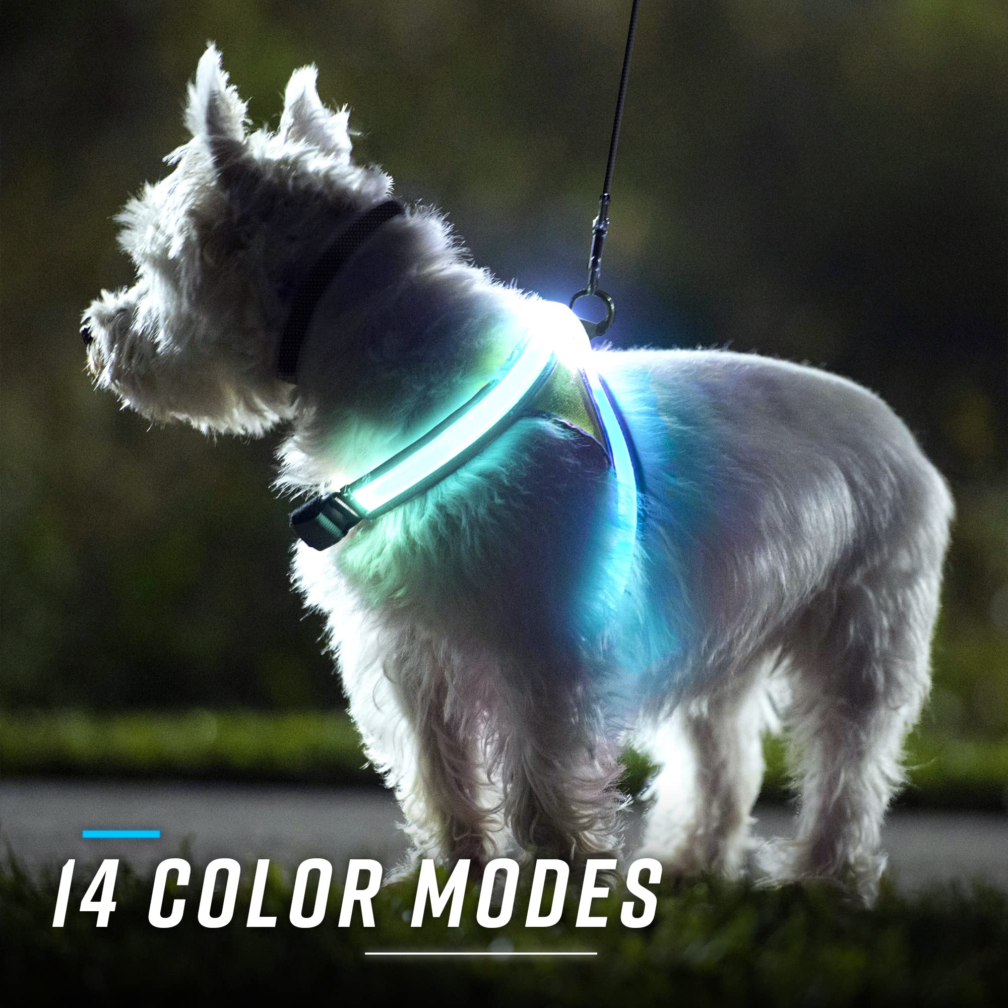 Noxgear LightHound ligero y duradero para uso diario