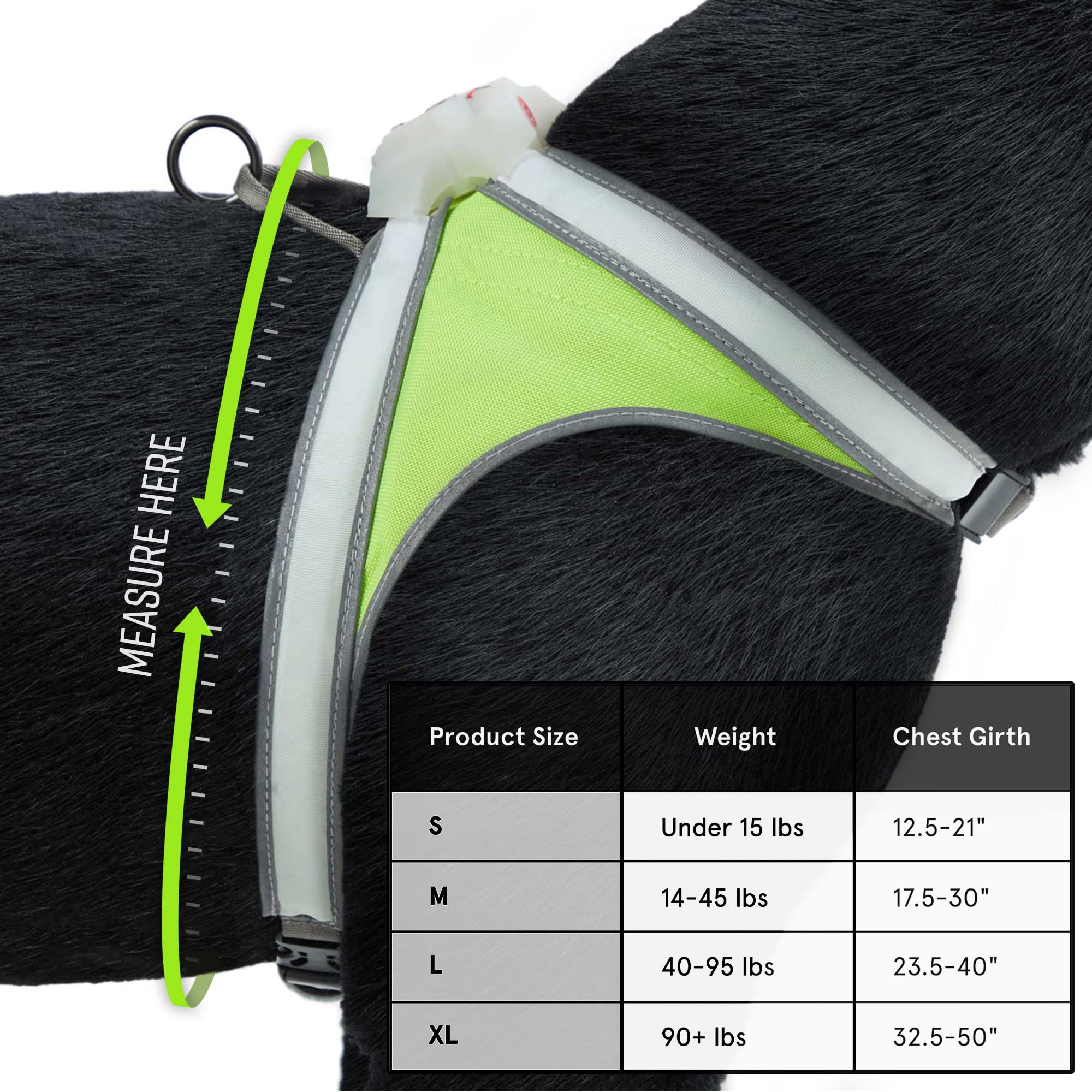 Noxgear LightHound ideal para paseos nocturnos y actividades al aire libre