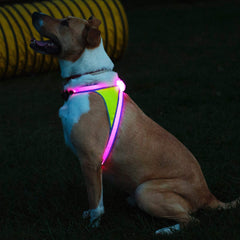 Noxgear LightHound reflectividad 3M para alertar a conductores.