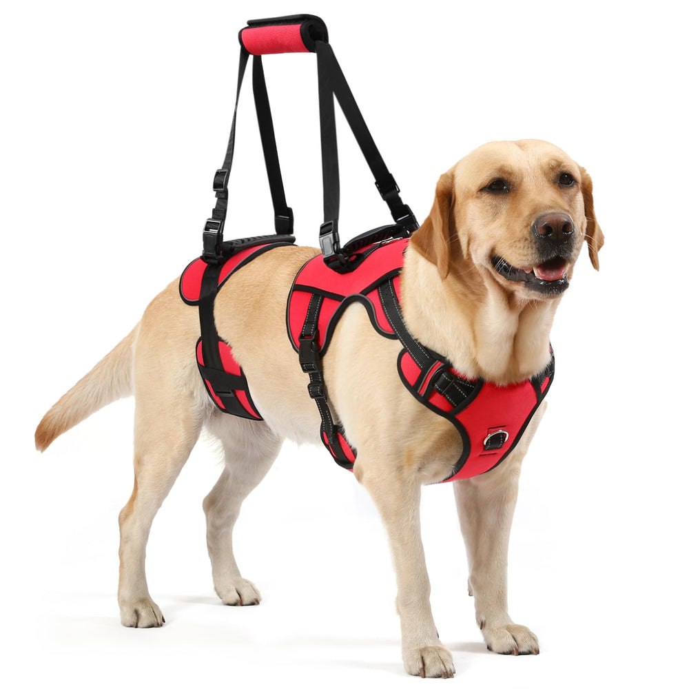 NOYAL arnés elevador para perros, vista frontal, soporte seguro para subir escaleras
