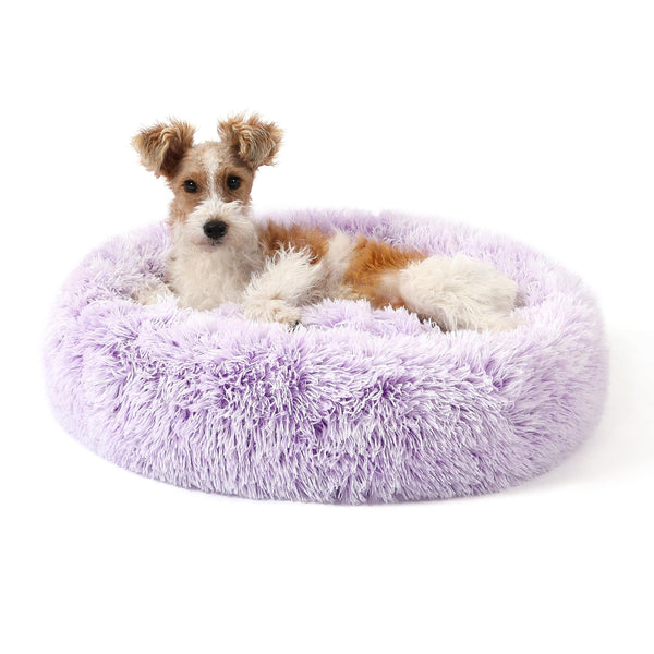 NOYAL cama dona para perro, vista frontal, confort envolvente.
