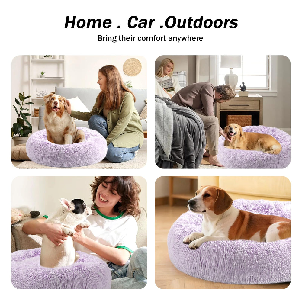 NOYAL cama dona tacto suave, ideal para siestas reconfortantes.