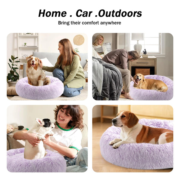 NOYAL cama dona tacto suave, ideal para siestas reconfortantes.