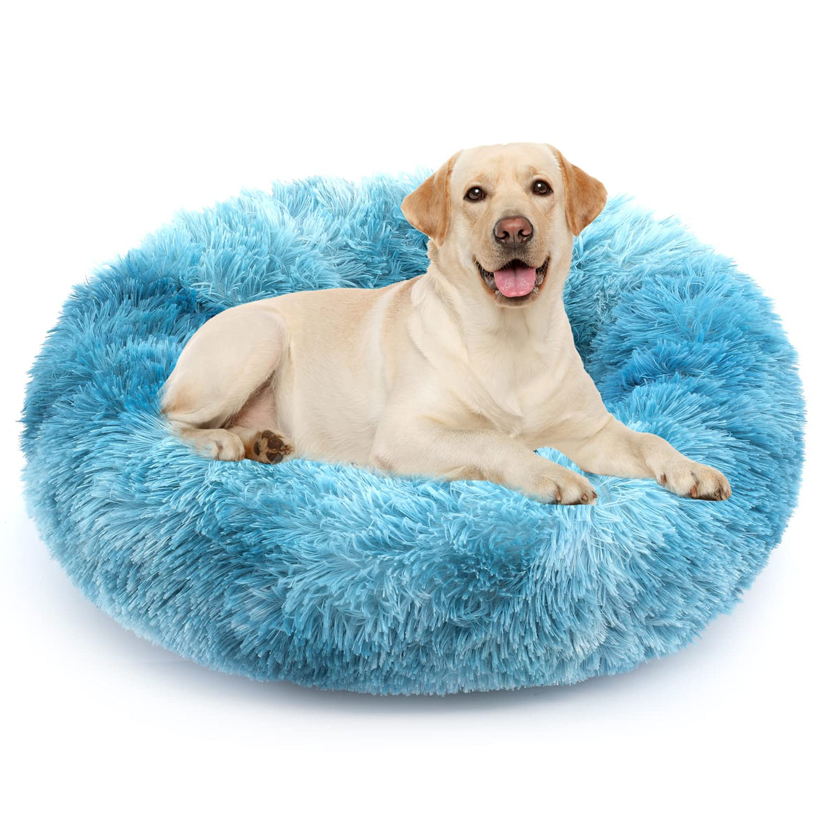 NOYAL Cama Donut: perro y gato acurrucándose para un descanso seguro