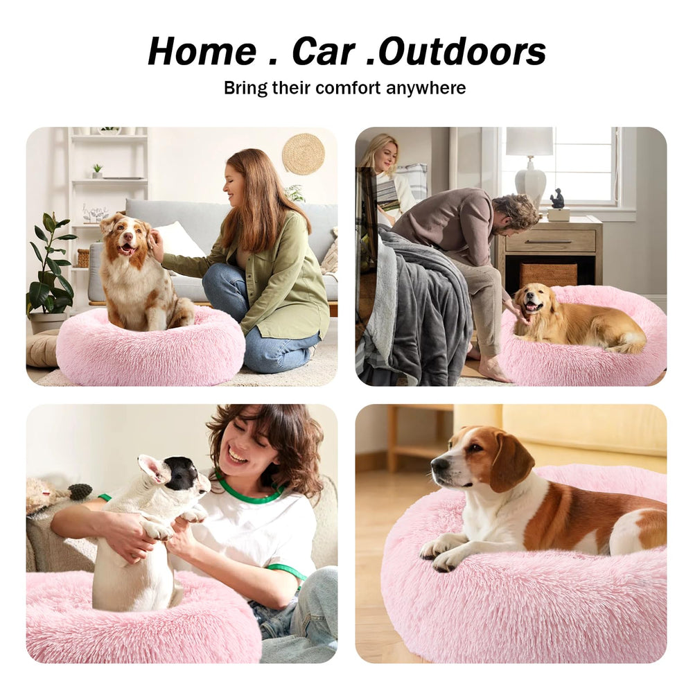 NOYAL Cama ideal para perros y gatos pequeños, descanso cómodo.