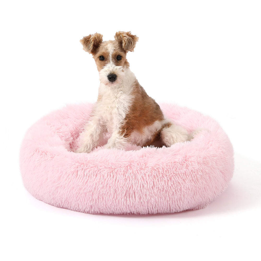 NOYAL cama rosquilla relajante para perros, refugio cómodo para dormir plácidamente.
