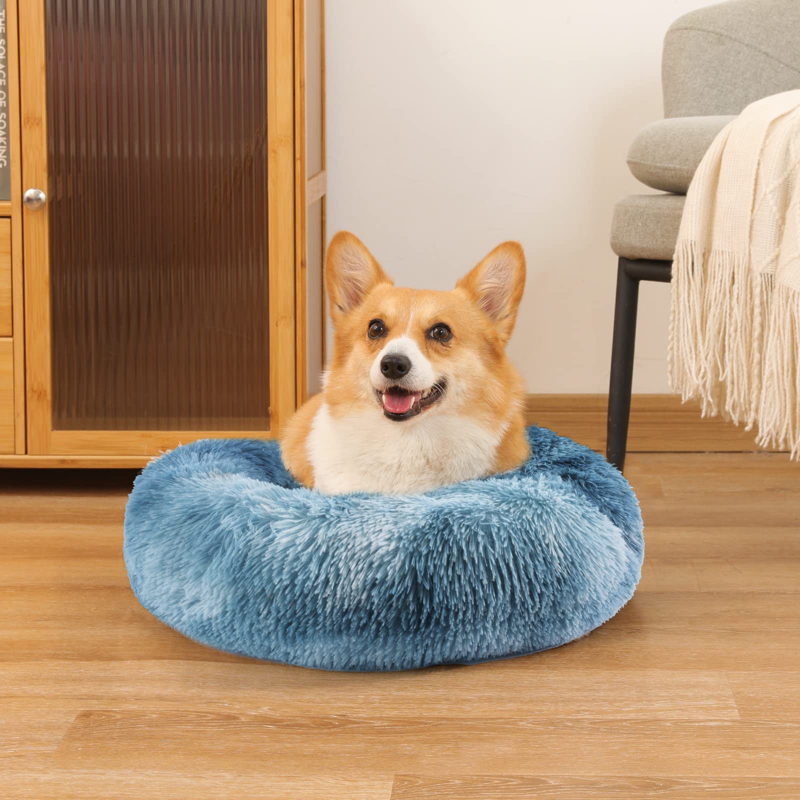 Ideal para uso diario de perros y gatos para descansar y dormir mejor.