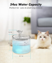 NPET WF100 cascada suave para mayor comodidad al beber