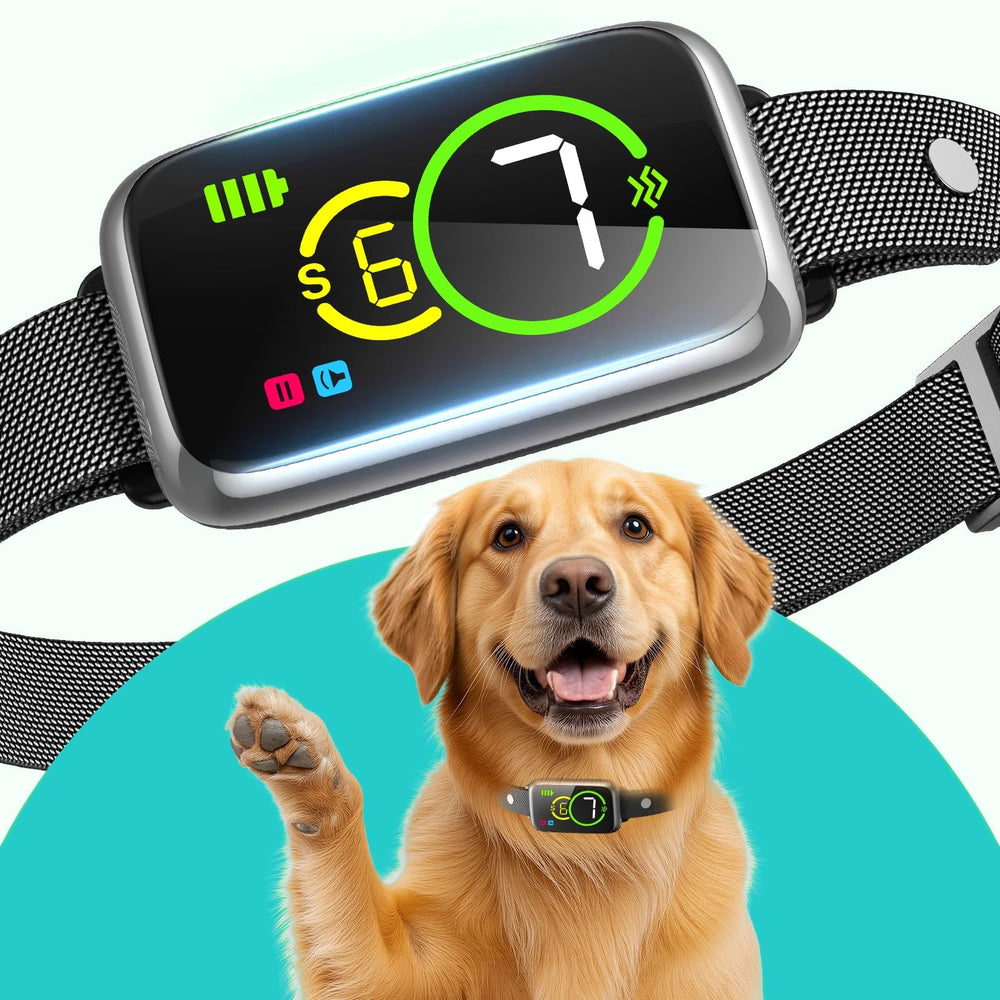 NQQHNN collar anti ladridos detecta y detiene ladridos con rapidez para perros de todos los tamaños