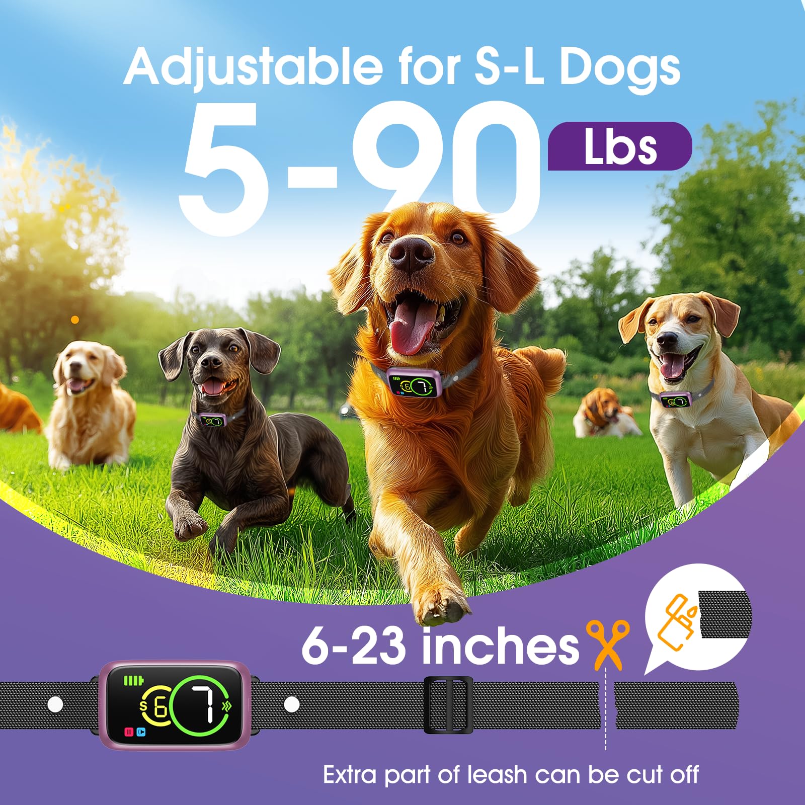 Collar adecuado para perros pequeños, medianos y grandes