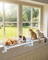 NRYDEPET percha de ventana con marco metálico, ideal para varios gatos.