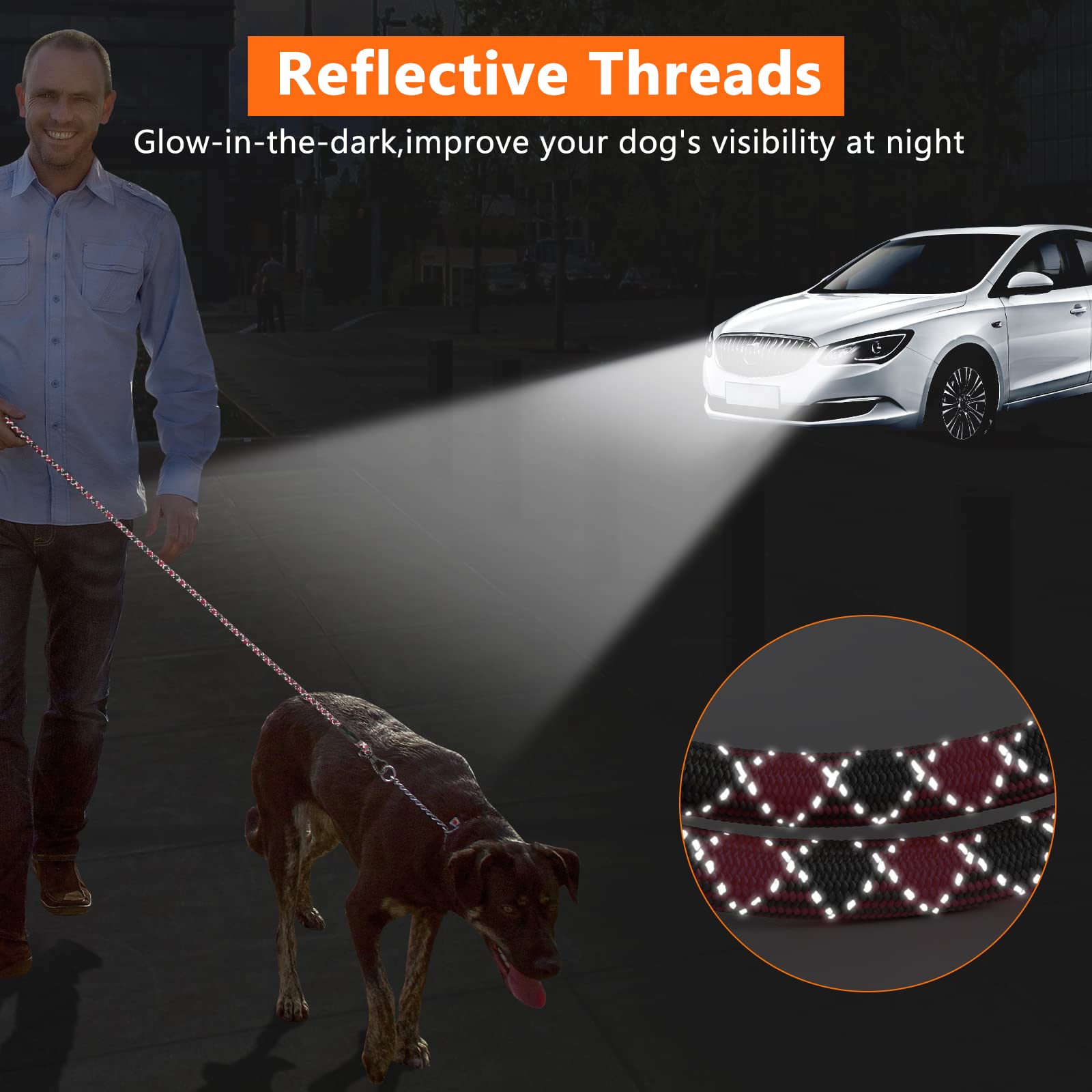NTR 1/2 inch diameter leash for large dogs and robust control.
