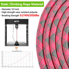 NTR leash shows soft EVA padded handle for comfortable grip.