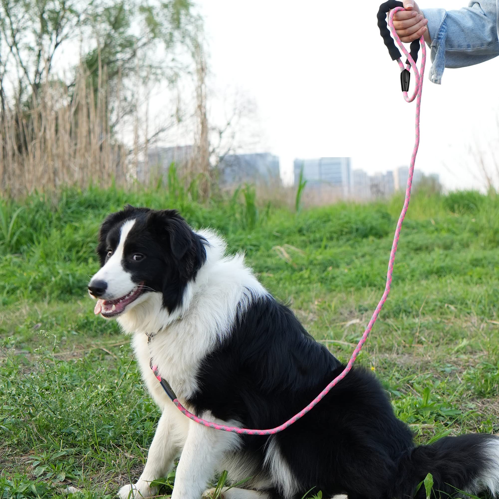 NTR leash with swivel reduces tangles during walks.