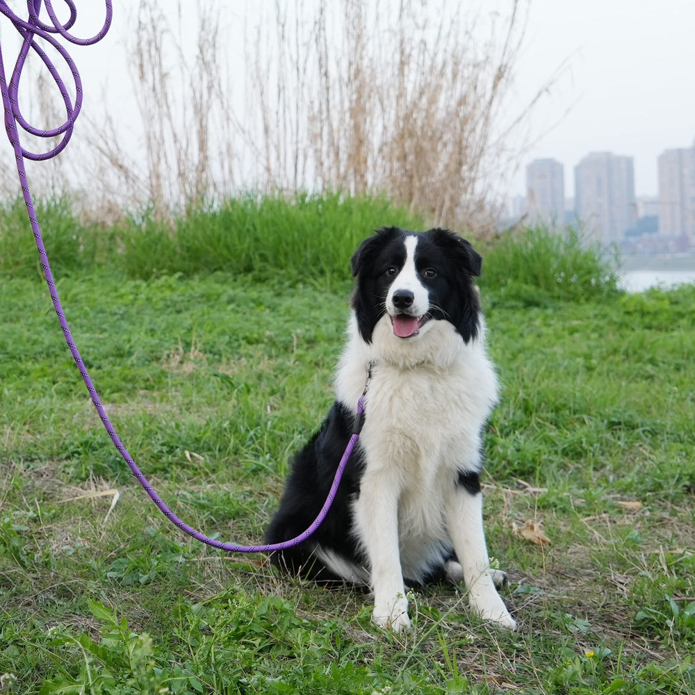 NTR longitud ajustable para entrenamiento y actividades al aire libre.