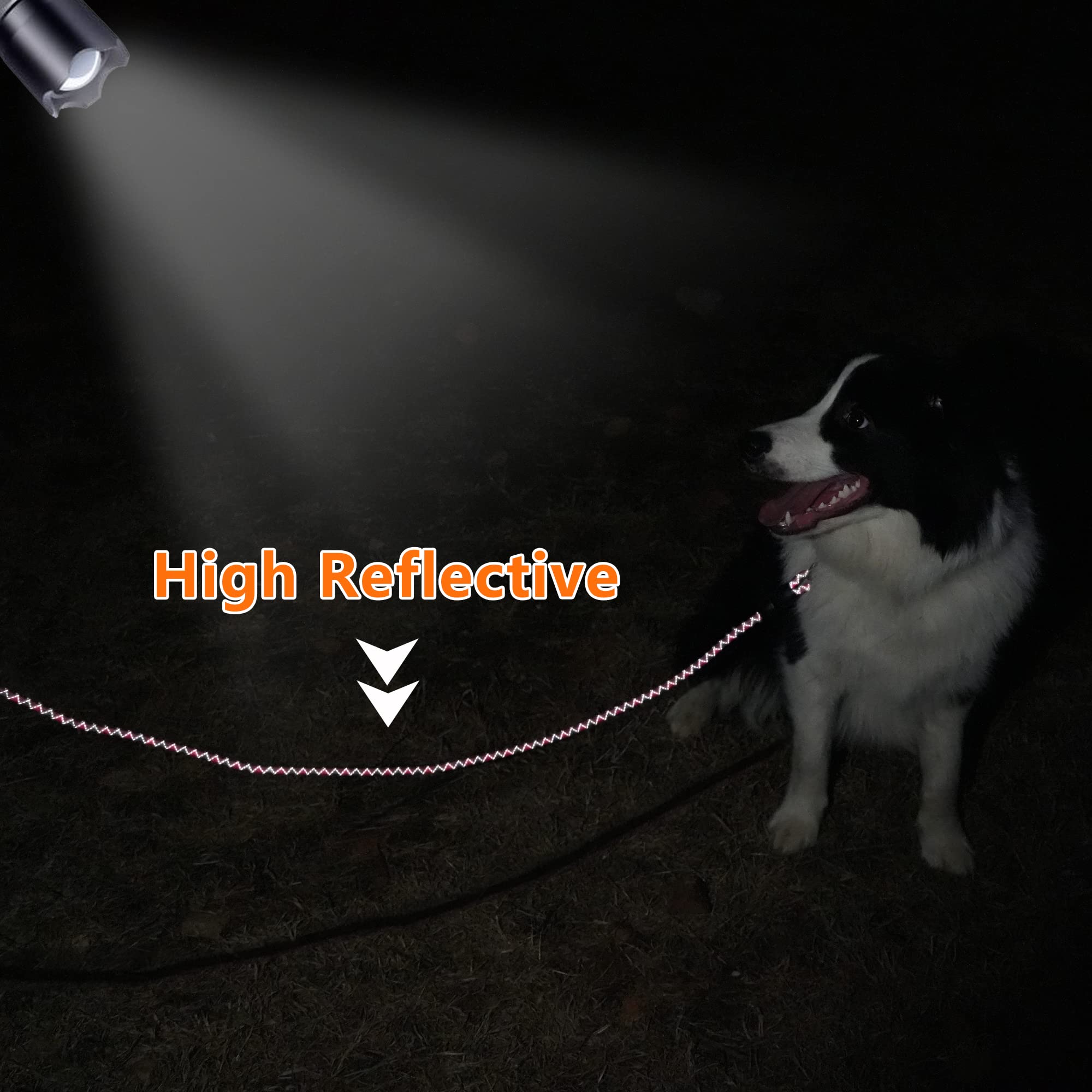 NTR Long Dog Leash: longitudes exteriores disponibles para caminatas largas y aventuras al aire libre.