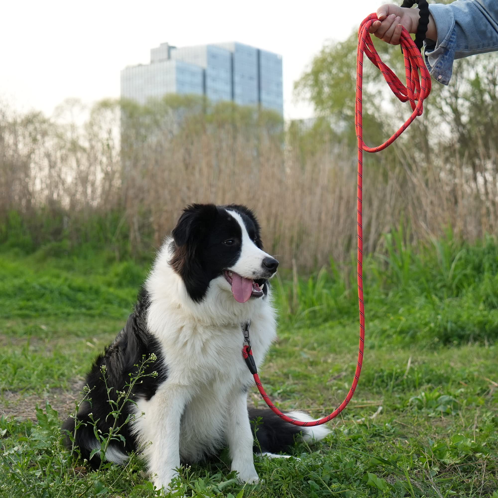 Uso exterior versátil: paseos, entrenamiento y camping con NTR.