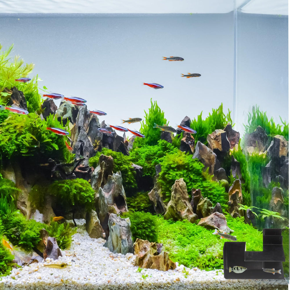 Nuanchu habitat confortable para peces y camarones, fomenta bienestar.
