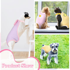 Pañales Nuanchu para perros: patrones divertidos para vestir a tu mascota.